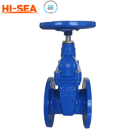  Cast Iron DIN Marine Valve